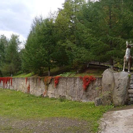 Садиба Федорчуків Гірська Хатина شيشوري المظهر الخارجي الصورة