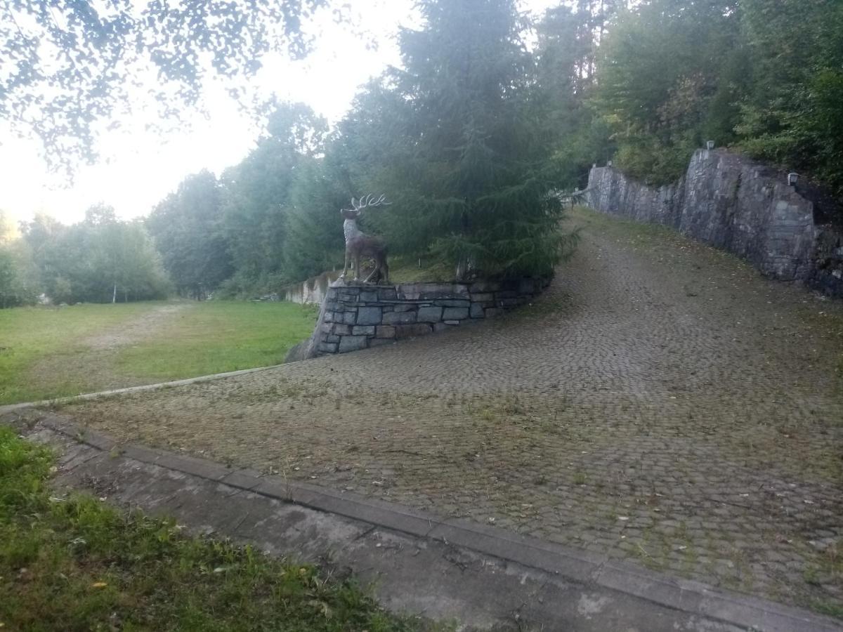 Садиба Федорчуків Гірська Хатина شيشوري المظهر الخارجي الصورة