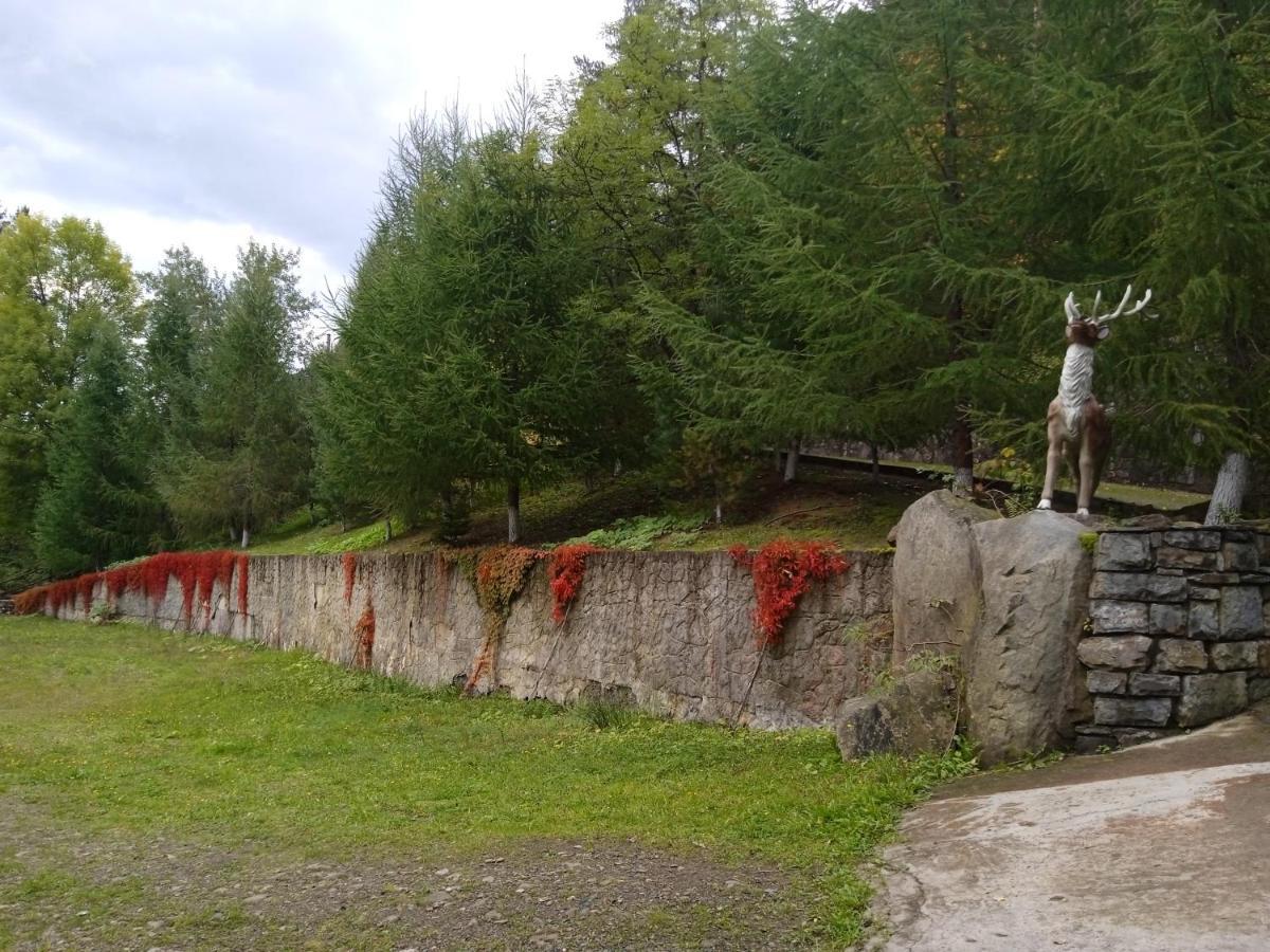 Садиба Федорчуків Гірська Хатина شيشوري المظهر الخارجي الصورة