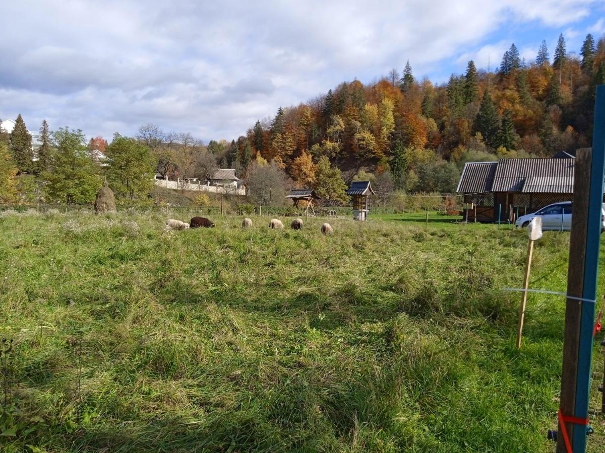 Садиба Федорчуків Гірська Хатина شيشوري المظهر الخارجي الصورة